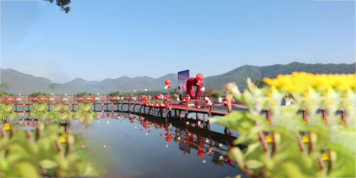 Bạn có thể tự lái hoặc thuê xe ô tô tại các điểm du lịch gần hồ Yên Trung
